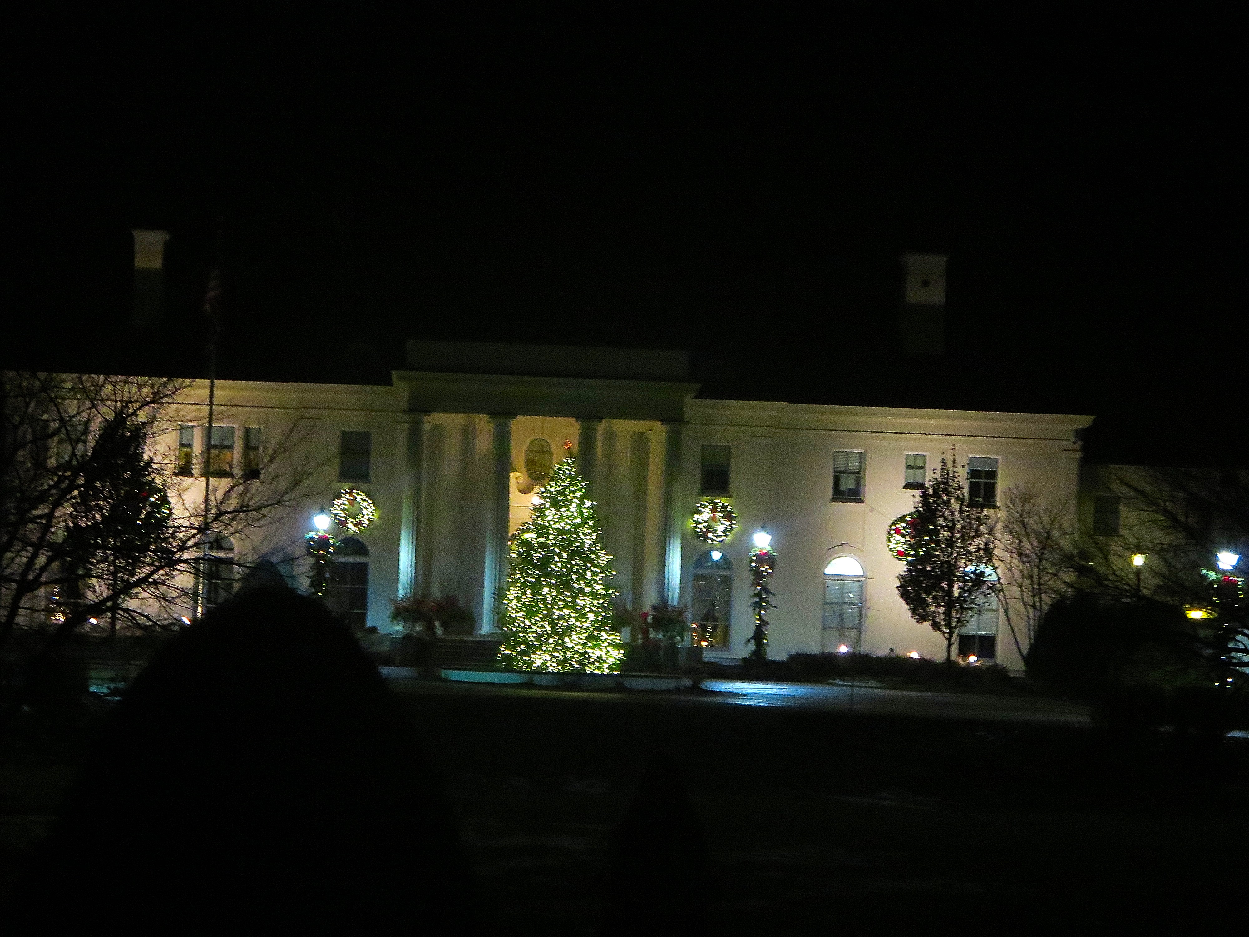 Luxury residential holiday lighting — roofline and landscape